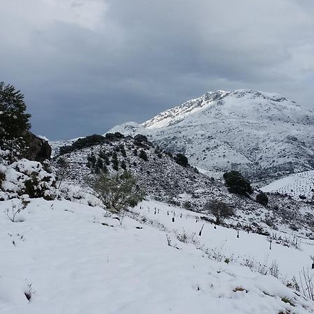 Finca Las Morenas Yunquera Dış mekan fotoğraf