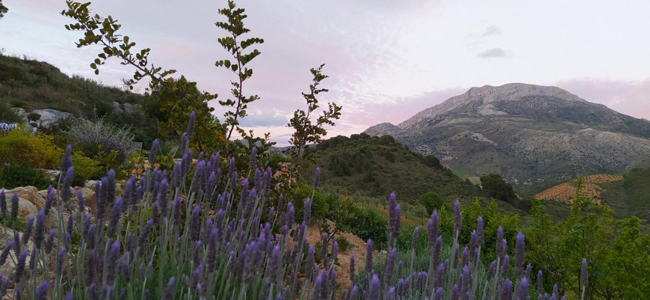 Finca Las Morenas Yunquera Dış mekan fotoğraf