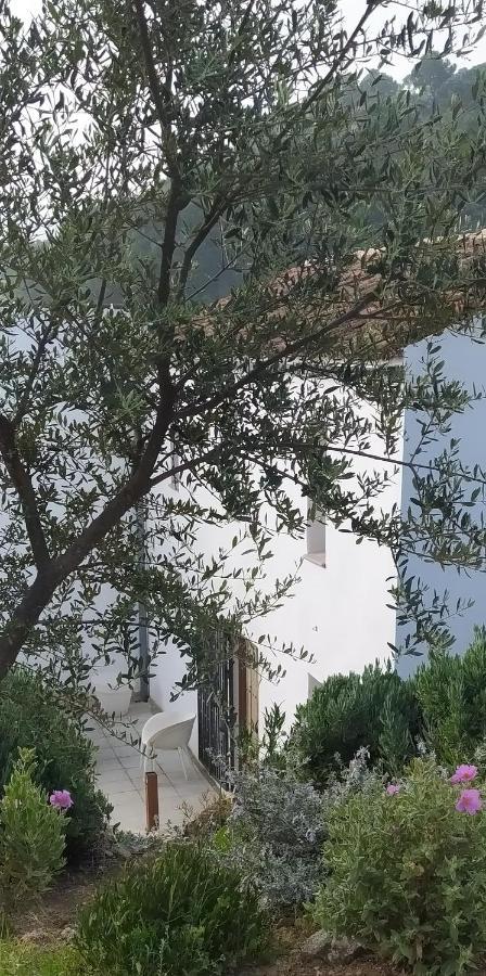 Finca Las Morenas Yunquera Dış mekan fotoğraf