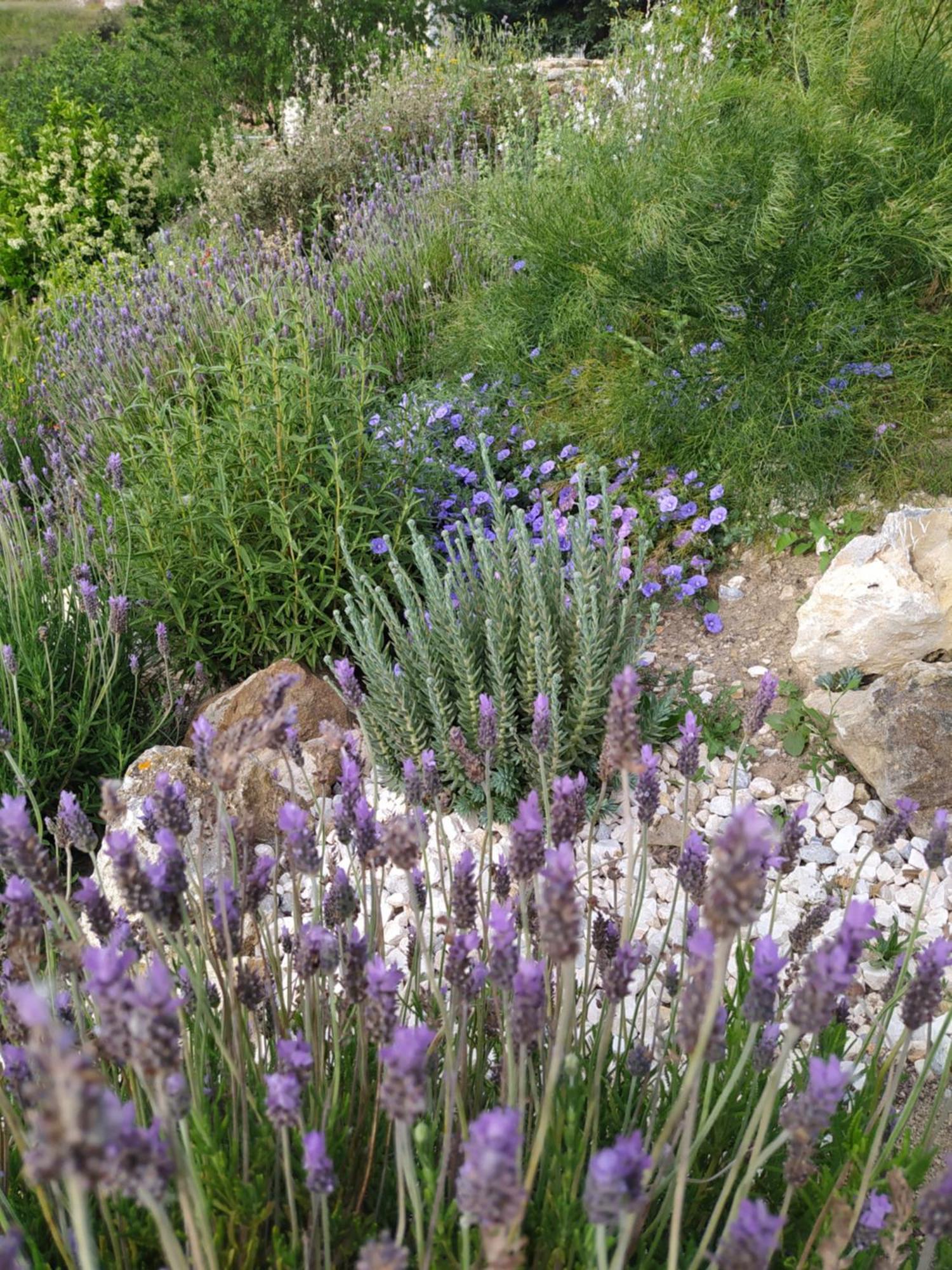 Finca Las Morenas Yunquera Dış mekan fotoğraf