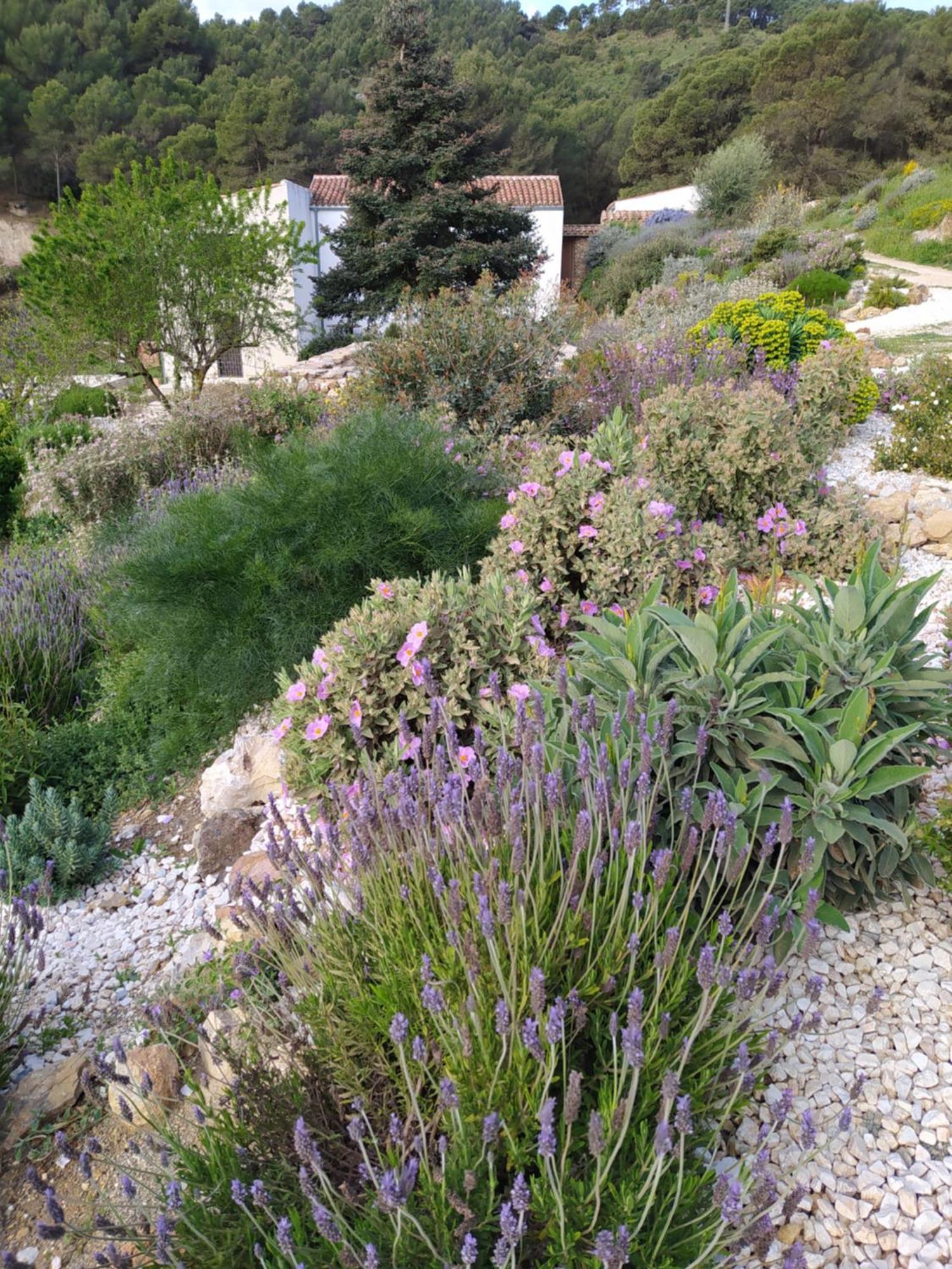 Finca Las Morenas Yunquera Dış mekan fotoğraf