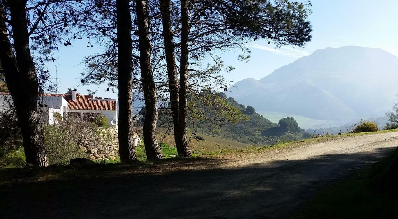 Finca Las Morenas Yunquera Dış mekan fotoğraf