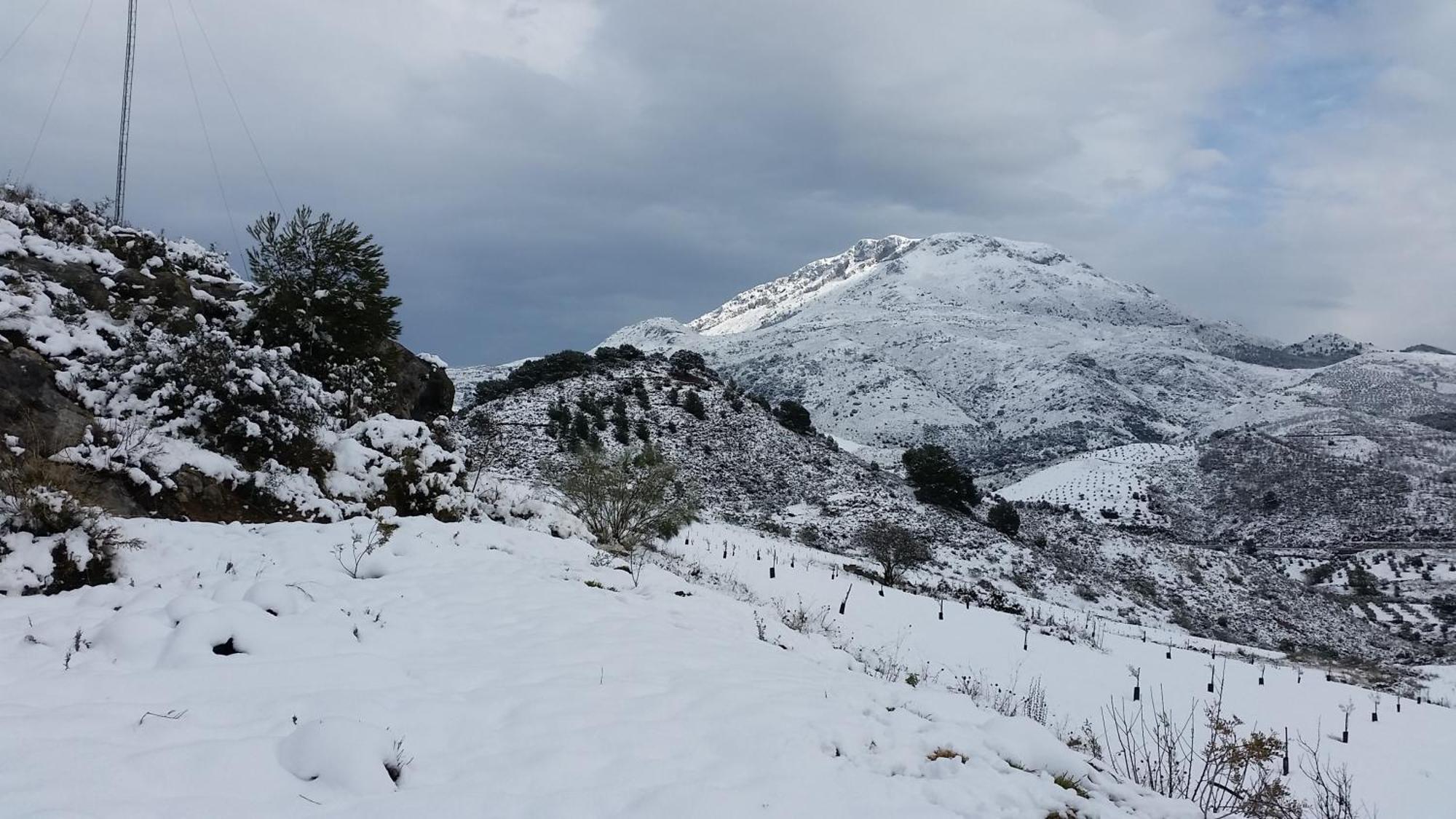 Finca Las Morenas Yunquera Dış mekan fotoğraf
