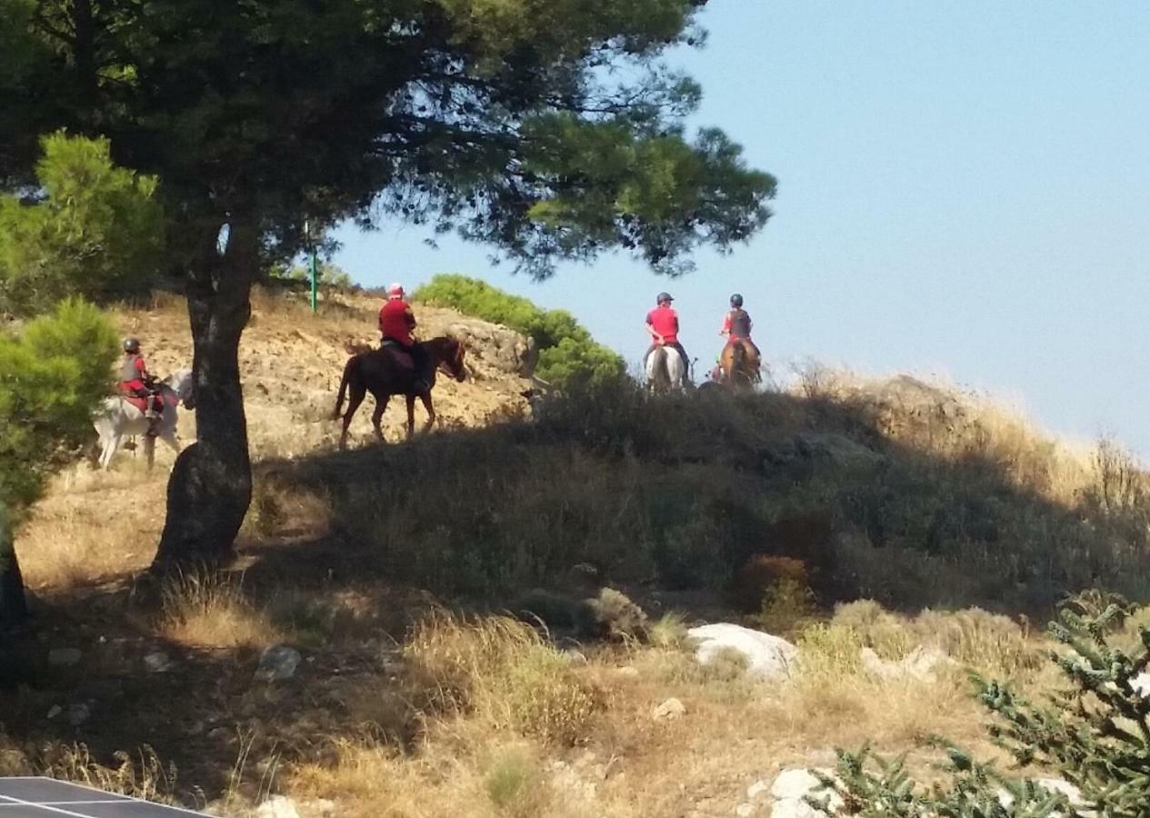 Finca Las Morenas Yunquera Dış mekan fotoğraf